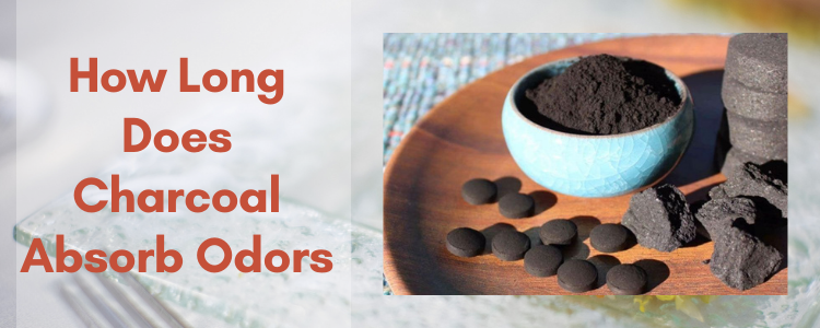 How Long Does it Take for Charcoal to Absorb Odors