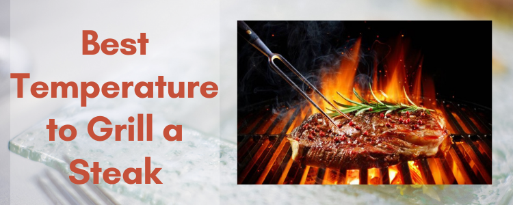 Best Temperature to Grill a Steak