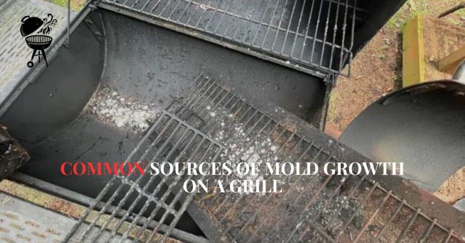 Is Mold on a Grill Dangerous