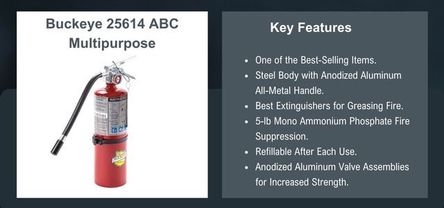 Buckeye 25614 ABC Multipurpose Fire Extinguisher